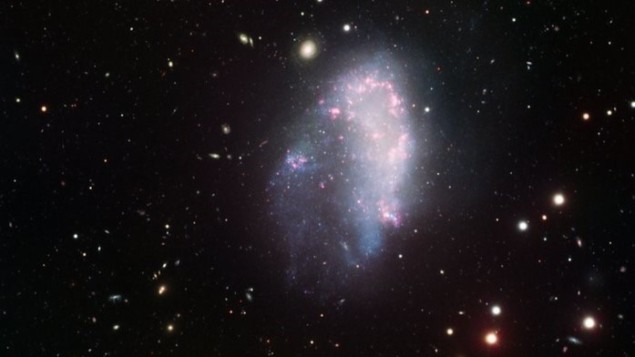 Galaxy in the Fornax cluster
