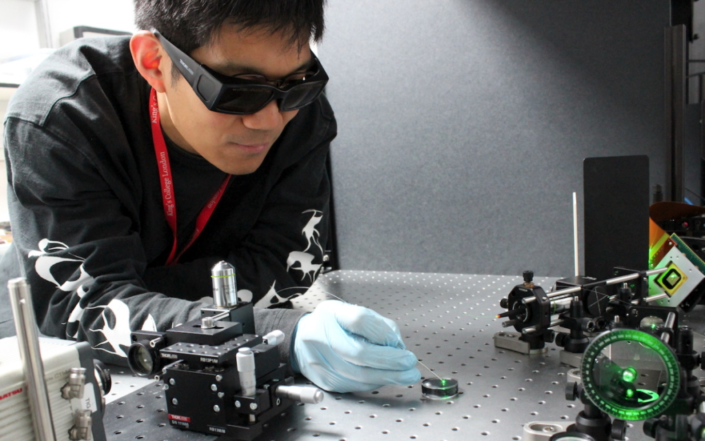 Metaoptical fibres downsize endoscopes Physics World