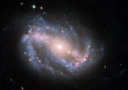 Ngc6217 galaxy