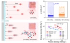 dendrite-free zinc batteries