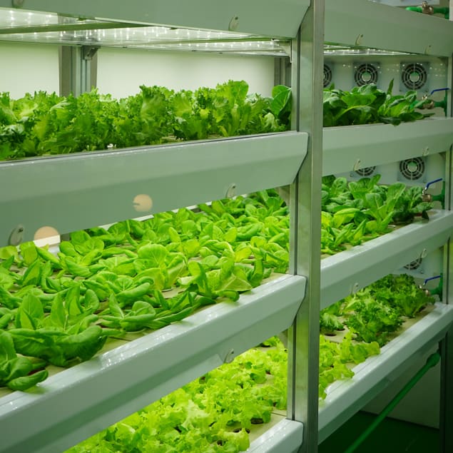 The power of photonics: from vertical farming to quantum computing ...