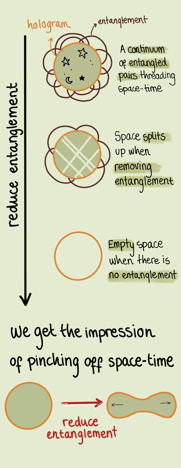 Theoretical prediction of what would happen if entanglement between different parts of the hologram were removed