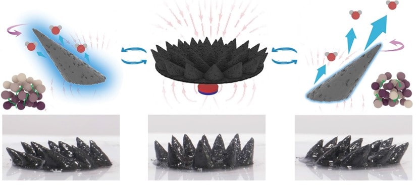 Spiky magnetic fluid accelerates solar-driven water purification – World