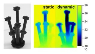 Static and dynamic structures