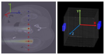 Neural network verifies proton dose directly from PET detector data ...