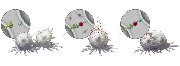 Nanotechnology Platform Sensitizes Cancer Cells To Immunotherapy ...