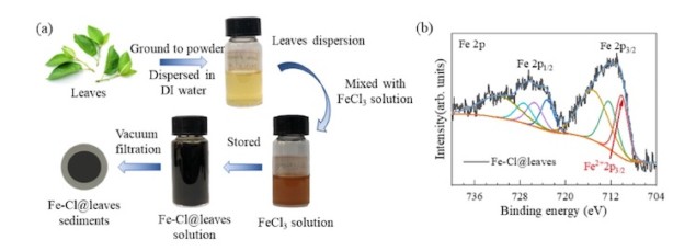 Experimental preparation of ground fallen leaves dispersed in different solutions in glass tubes and their XPS spectra