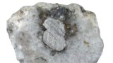 Fulgurite cross-section
