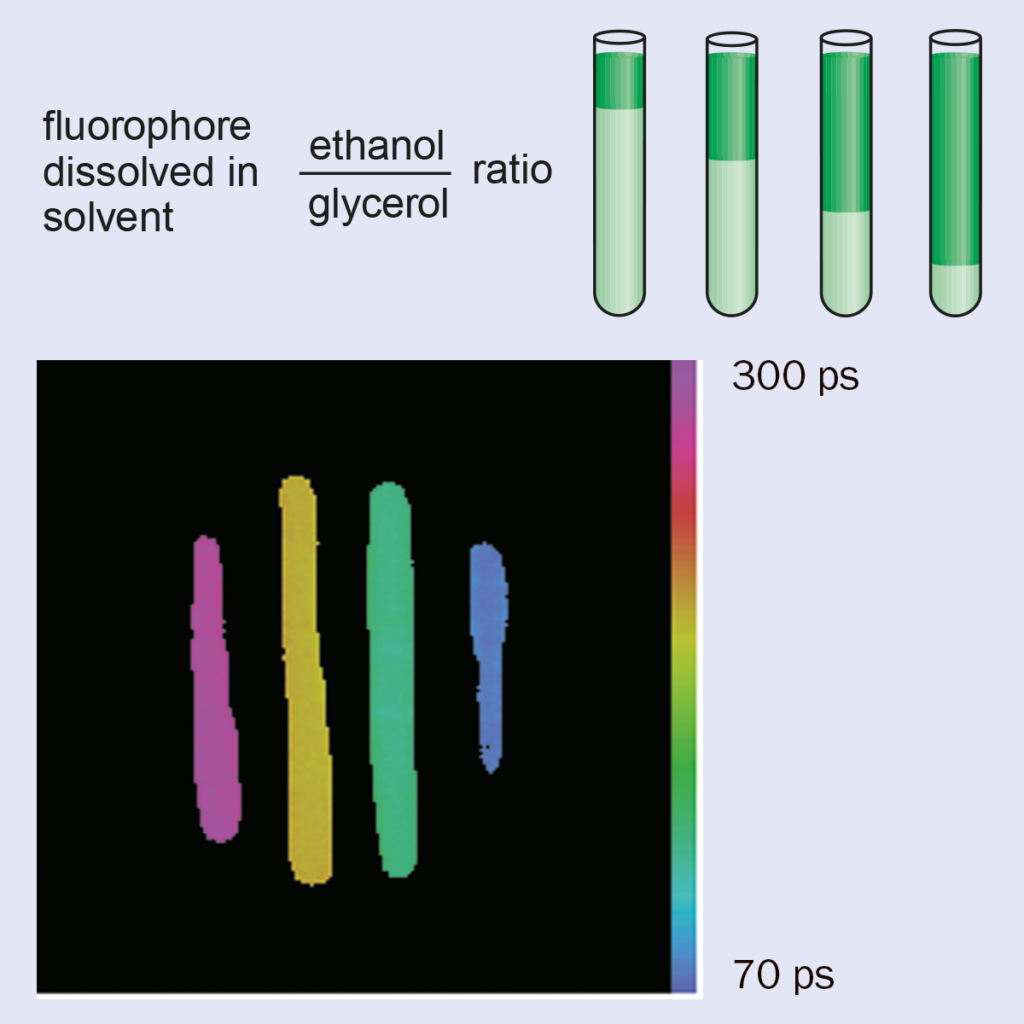 Biomedical optics – Physics World