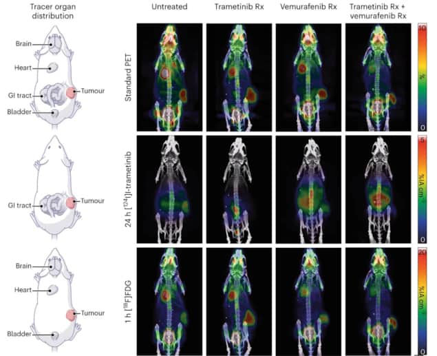 Standard PET and mPET of mice with melanoma tumours