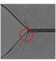 image of material deformations formed by a single rapidly propagating crack moving left to right