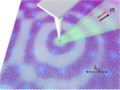 Plasmon nano-imaging with s-SNOM