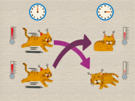Cartoon showing two cats starting off at slightly different high temperatures, then after a period of time (represented by a clock), the initially more energetic cat is more relaxed (lying down and snoozing), while the initially less energetic cat is merely somewhat relaxed (lying down)