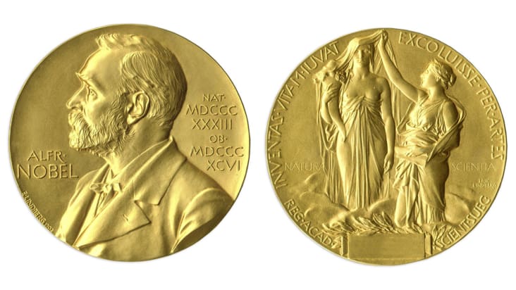Physics Nobel medal front and back