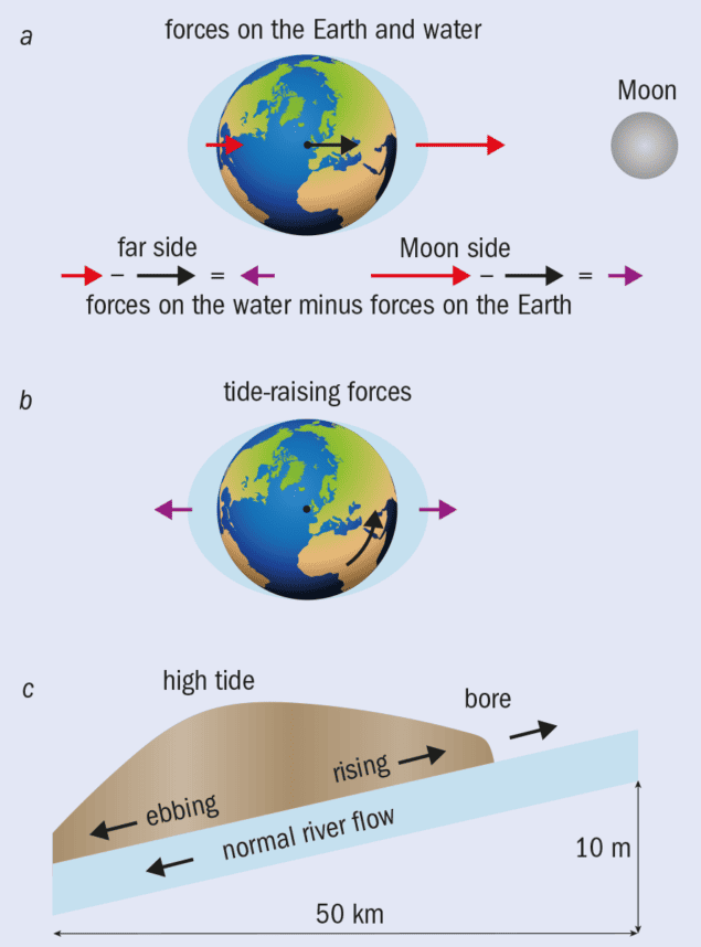 Three part diagram showing forces on the Earth and on water