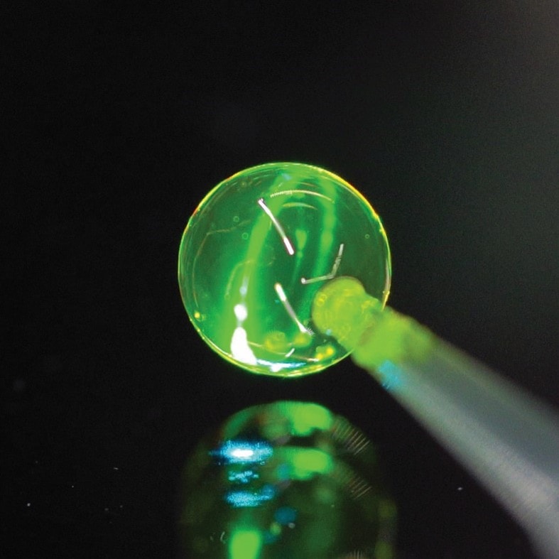 Physics World: Soap bubbles transformed into lasers