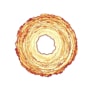 Diagram resembling a doughnut made up of squiggly red, orange and yellow lines