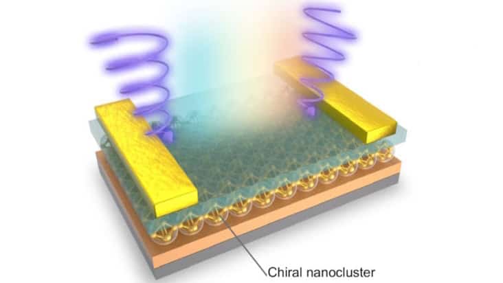 Artificial nanocluster photoreceptor
