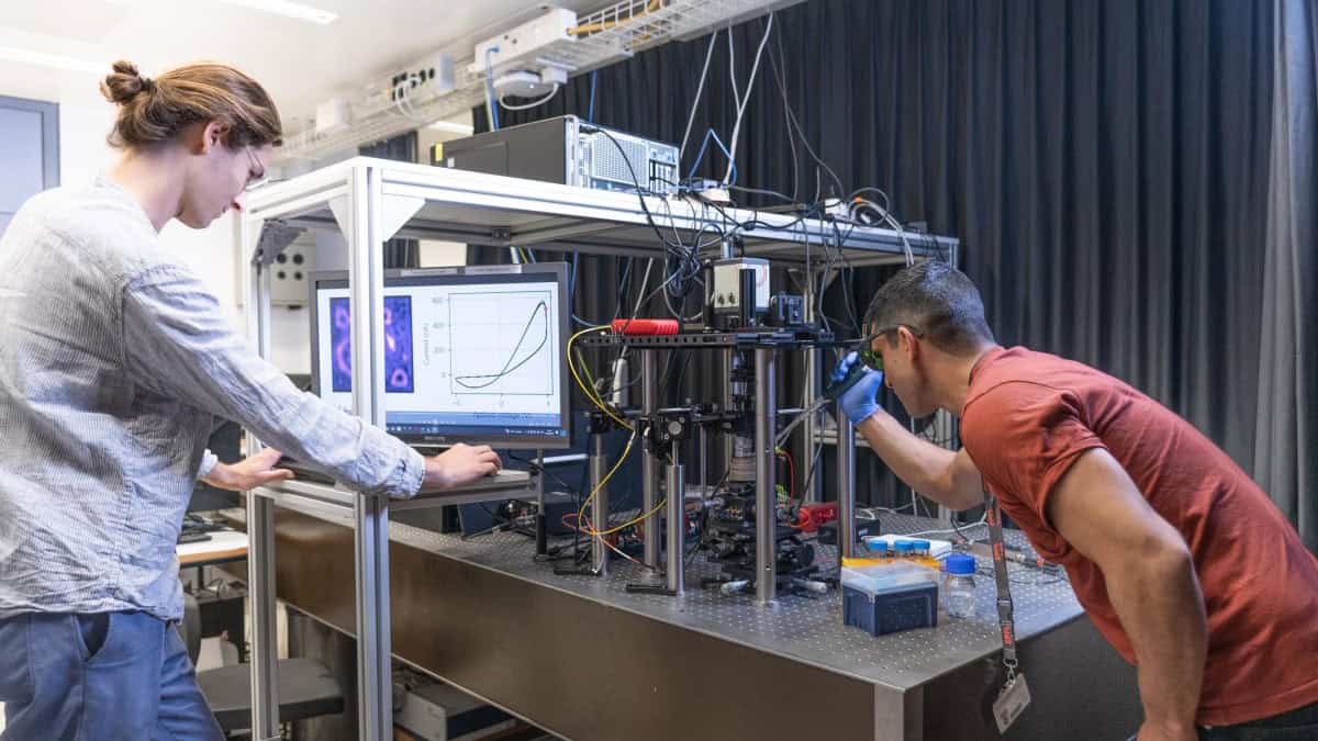Physics World reports on the use of nanofluidic memristors in brain-inspired logic circuits for computation.