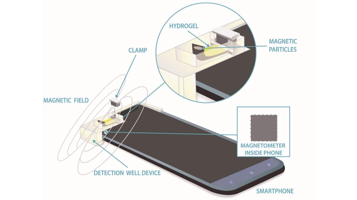 Physics World reports on the development of a magnetics-based analyte sensor by NIST researchers