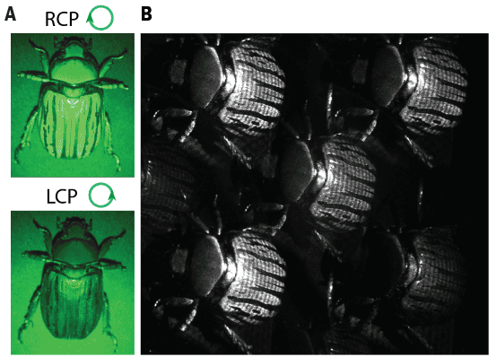 Metasurfaces enable a one-step polarization imaging system – Physics World