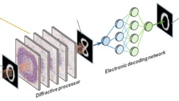 A schematic of the experiment