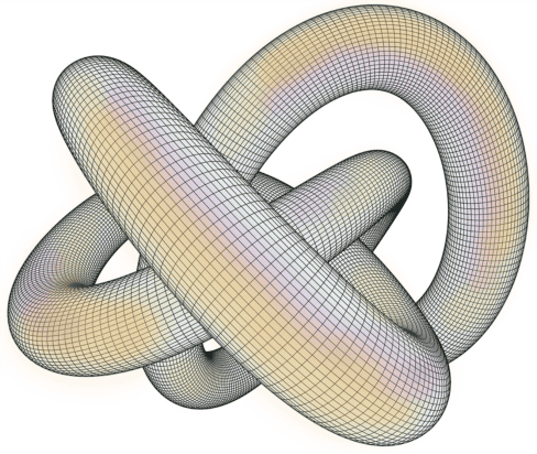 Knot 3D vector