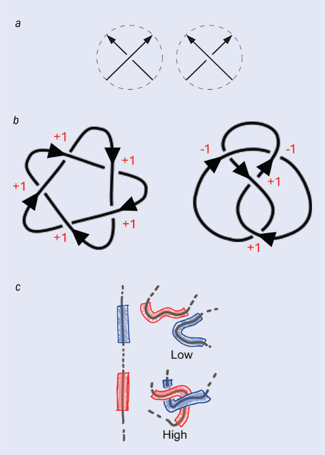 Spot the knot: using AI to untangle the topology of molecules – Physics ...