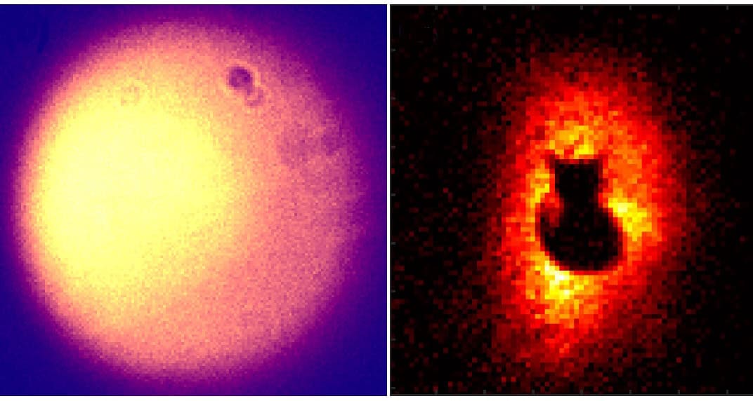 Researchers exploit quantum entanglement to create hidden images – Physics World