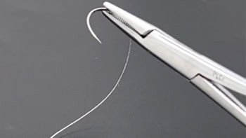 Bioabsorbable electrical stimulation suture