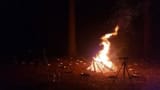 Photo of a small bonfire at night in a forest clearing with flames rising skywards. A camera on a tripod and other equipment are silhouetted against the flames, and aluminium baking trays can be seen scattered around the forest floor near the fire.