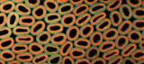 An image of several dozen squishy silicone rings laid out side by side and viewed from the top. The bright orange and green rings resemble cells and are mostly touching each other, but there are some gaps between rings.