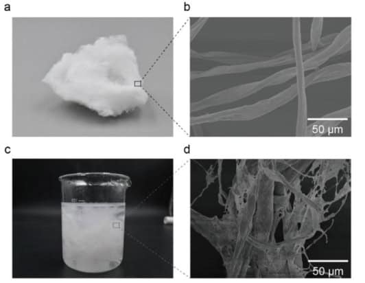 Photographs and SEM images of cotton fibres (a) (b) before and (c) (d) after dispersion