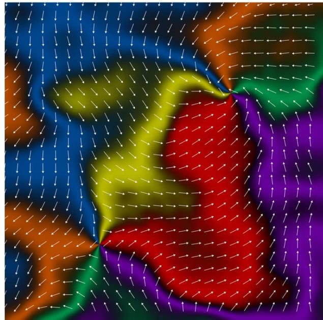 vortex pair Six-colour image with arrows overlayed on each colour showing the direction of the altermagnetic ordering within that region of the MnTe sample. At two points within the sample, all six colours meet, and the arrows indicate the existence of a vortex.
