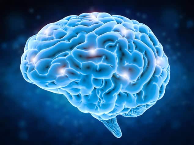 brain-web-511446631-Shutterstock_Phonlamai-Photo brain-web-511446631-Shutterstock_Phonlamai-Photo
