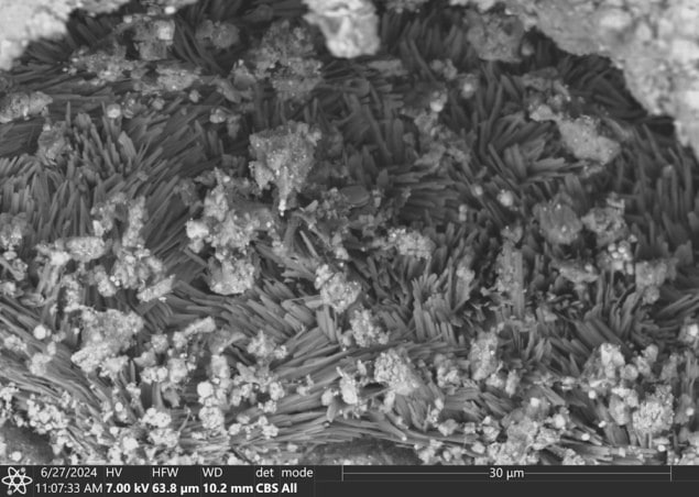 SEM images of minerals found in Bennu samples