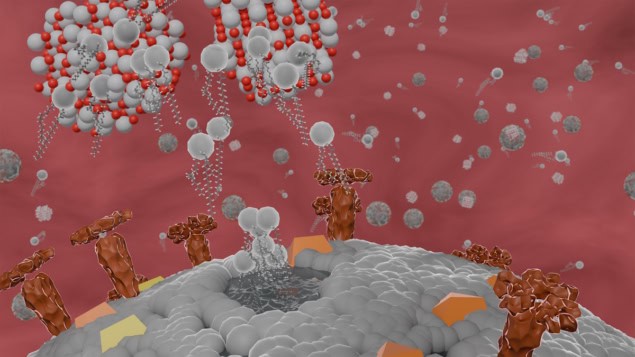 Schematic showing the proposed interaction between an enveloped virus and titania nanoparticles