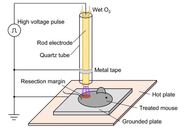 Experimental setup for plasma generation