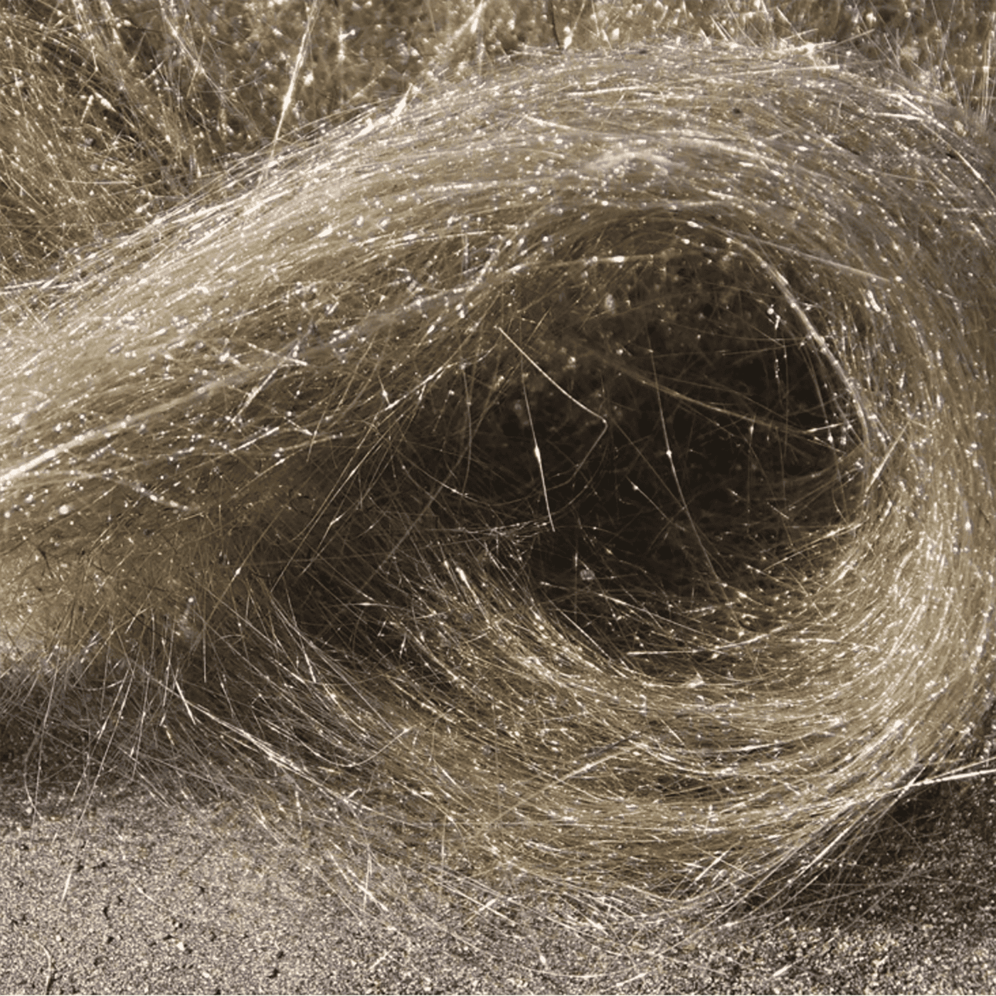 cover of episode Threads of fire: uncovering volcanic secrets with Pele’s hair and tears