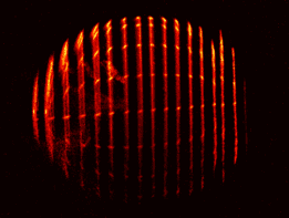 Image showing a sphere made up of slices. The sphere's north pole that pointed towards the camera is located at the leftmost rim. The meridians connecting both poles are visible as brighter dots. Closer inspection shows that the horizontal north-south axis is 11% longer than the vertical (equatorial) diameter. This effect is an artifact caused by the necessary tilt of the Lorentz-contracted sphere relative to the light source to ensure proper illumina- tion. The meridians appear discontinuous because they are almost in line of sight seen from the camera.