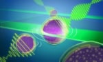 An artist's representation of the new Brillouin microscopy approach that allows entire light-sheets to interact with 3D biological samples. The artwork features neon-green sheets of light and zigzag oscillations (representing waves) intersecting purple blobs decorated with cartoon-style vibration lines (representing phonons), all against a blue background