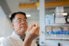 Photo of Feng Nei in the lab with his zinc alloy prototype. He's wearing glasses and a white lab coat and holding the prototype with metal tweezers, and is slightly out of focus so the emphasis is on the prototype, which is in focus. A rack of blue-lidded chemical bottles is on a shelf in the background.