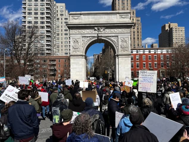 Washington Square demonstrators lores Photo of demonstrators at March for Science rally.