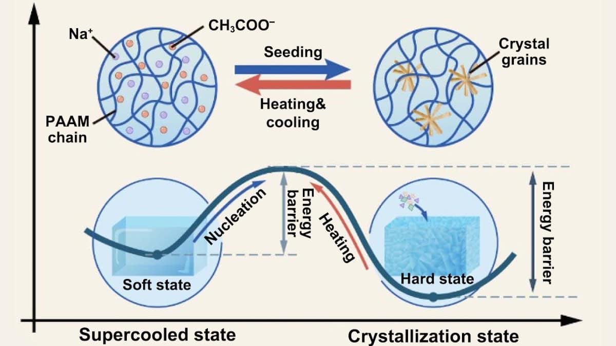 Hard/soft transition of a hydrogel/NAAC composite
