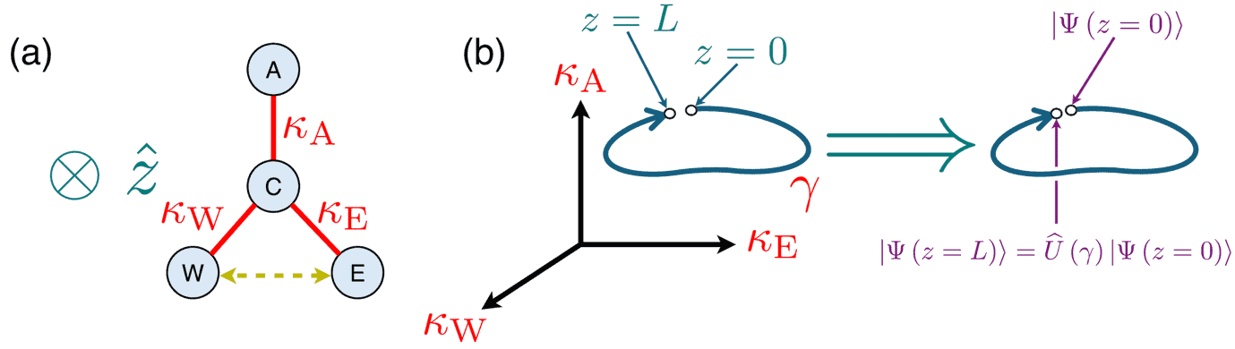 Diagram showing the arrangement of the coupled waveguides, represented as circles labelled with A, C, W and E and connected by lines