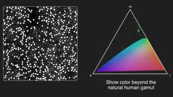 Oz principle for stimulating the human retina
