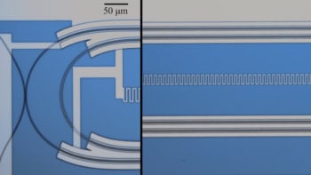 Optical micrograph of the quantum transducer