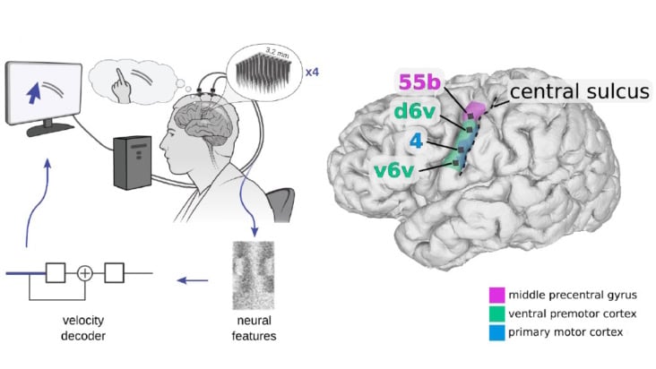 Cursor control using a brain-computer interface