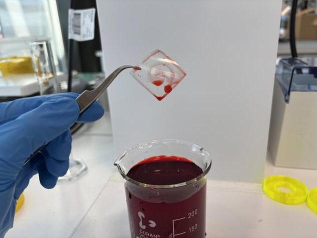 Zwitterion Coated Polymer Photo showing a person's gloved hand using a pair of tweezers to hold a square of transparent material. Below the material is a beaker full of what looks like blood, but is actually water containing red food dye. The material looks to have been recently dipped in the dye, and the dye has clung to a spiral pattern