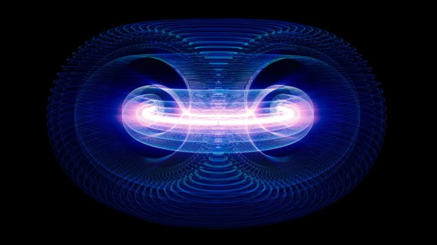 PPPL Plasma in a tokamak